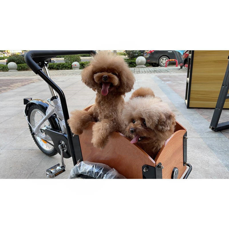 Front Box Cargo Bike For Kids  - Travel Accessories Kids incelemesi ve fiyatı